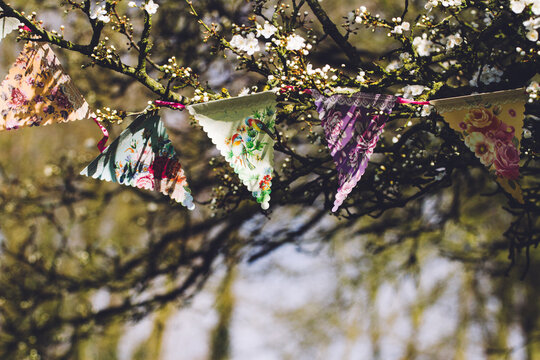 Pretty bunting in a blossom tree on a sunny spring day
