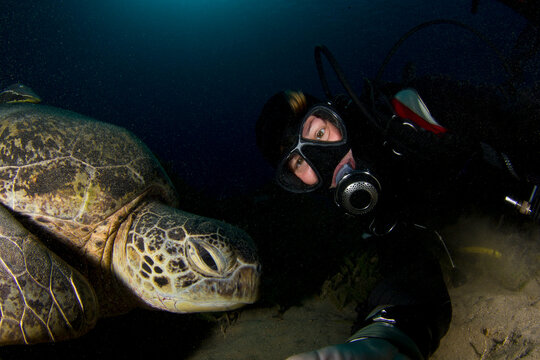 Underwater selfie of a woman scuba diving with huge, old green sea turtle