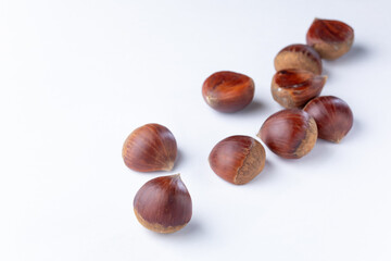 栗　白背景