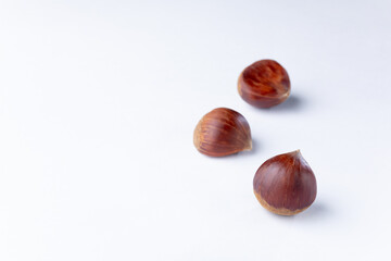 栗　白背景