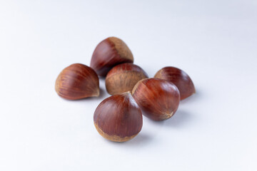 栗　白背景