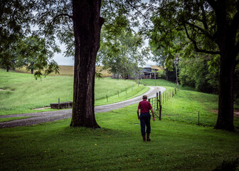 walking in the pasture