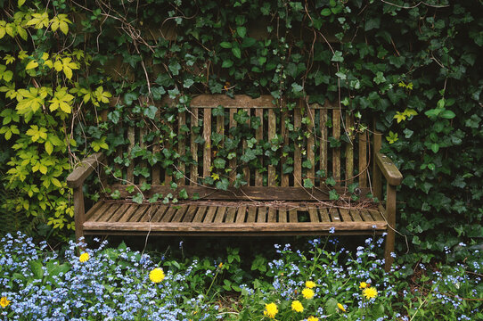 Old bench in a neglected corner of the garden