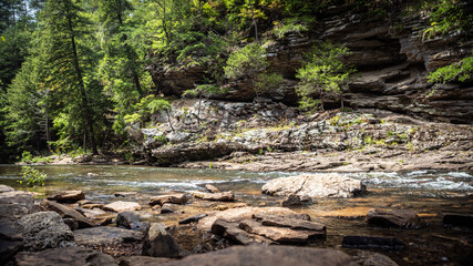 island in the stream