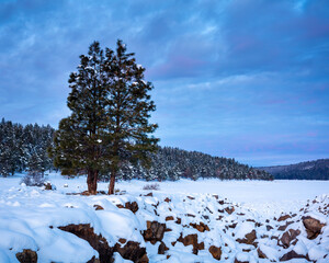Winter Landscapes in Northern Arizona.