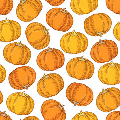Seamless vector pattern with hand drawn colorful pumpkins isolated on white background. Autumn illustration for textile, print, card, invitation, wallpaper, fabric, home decor