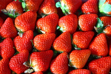 Japanese strawberry