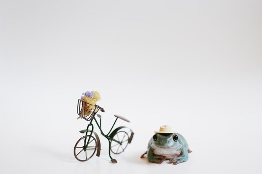 tiny tree frog wearing a hat next to a miniature bike