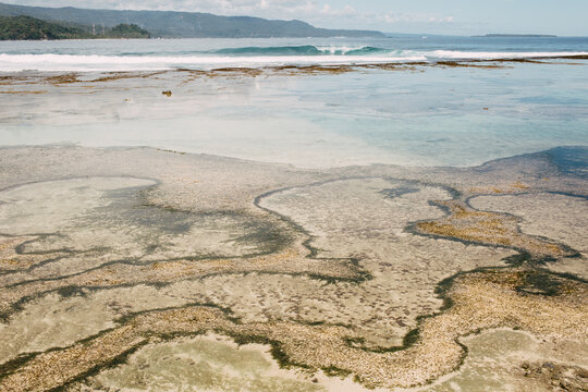 Beautiful reef with a breaking wave in the background
