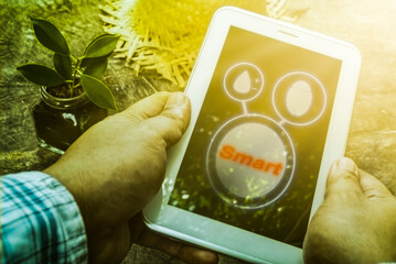 Farmers use digital tablet computers in cultivation. The application of modern technology in agricultural activities focuses on specific areas of agriculture.