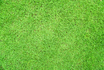 Obraz na płótnie Canvas Green grass texture background Top view of bright grass garden Idea concept used for making green backdrop, lawn for training football pitch, Grass Golf Courses green lawn pattern textured background.