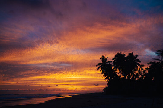 silhouettes of palm trees on the beach with a colorful sunset