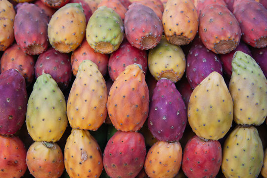 Prickly pears fruit