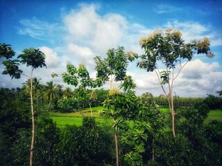 one of the beautiful landscapes in india