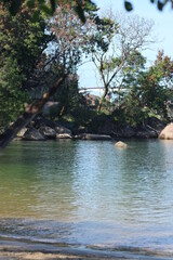 the river in the forest