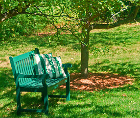 Under the Apple Trees