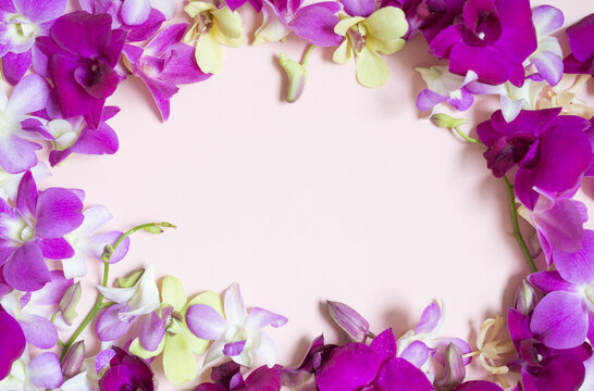 Orchids background