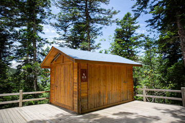 wooden house in the forest