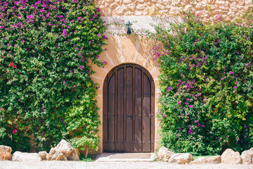 Wooden door on a rustic house - villa surrounded by colourful flowers