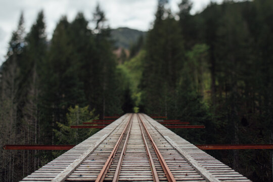 Vance Creek Bridge