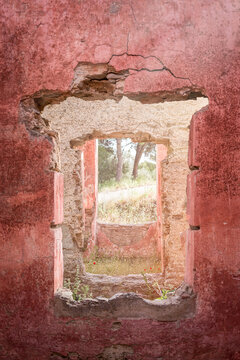 Multiple Windows of an Abandoned Building