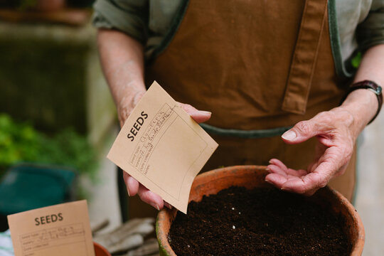 Close up of woman hands holding a seeds envelope with the name of the flower handwritten on it