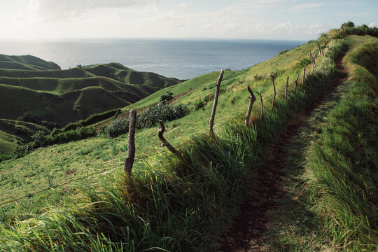 Beaten pathway on a ridge with a view of the Pacific Ocean