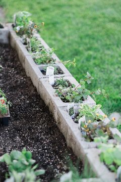 organic cinderblock vegetable garden