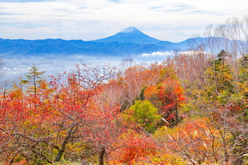 富士山と紅葉　山梨県韮崎市甘利山にて