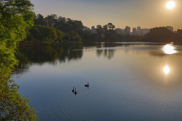 Final de tarde em parque com muito verde na cidade de São Paulo. Por do sol no lado do parque.