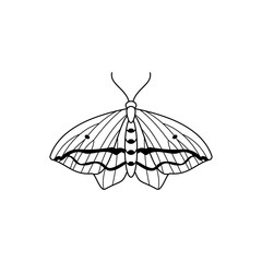 Butterfly icon in a linear minimalist trendy style. Vector Contour illustrations of Insect Moths for creating logos of beauty salons, manicures, massages, spas, jewelry, tattoos, and handmade artists.