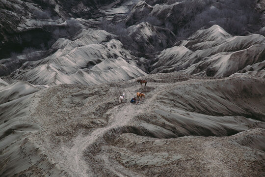 Bromo