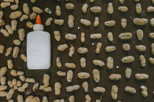 Stoner Craft - Googly Eyes Glued on Peanuts with Shell on a Dirty Table