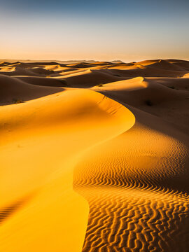 Endless Sand Dunes in the Desert after Sunrise