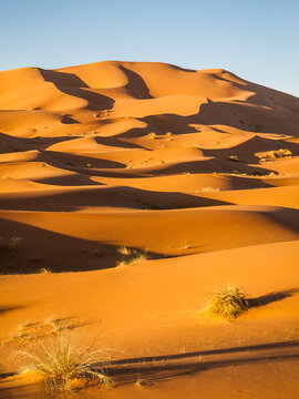Desert Sand Dunes near Morocco's Merzouga
