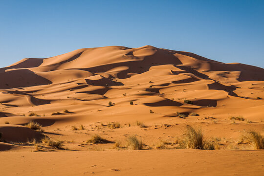 Desert Sand Dunes near Morocco's Merzouga