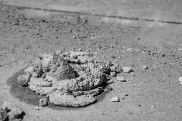 Fresh concrete in mud jacking drilled holes in pavement