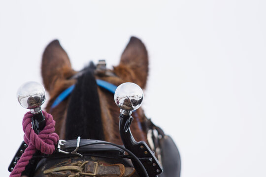 Hame balls on a draft horse collar