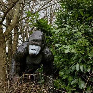 Plastic gorilla in the bushes