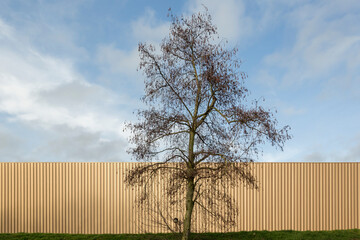 Solitary tree and industrial building