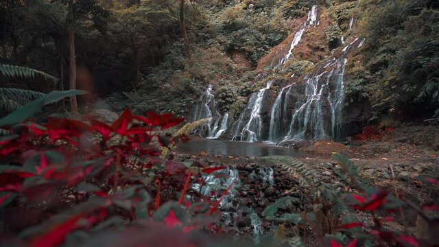 Beautiful Waterfall hidden in tropical rainforest jungle on nature background. 4K