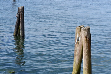 Old dock pylons rotting in the bay.