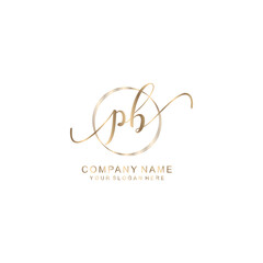 PB Initial handwriting logo template vector