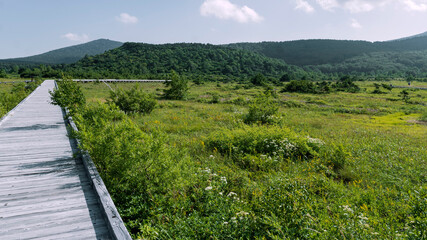【裏磐梯／浄土平】湿原の木道／磐梯朝日国立公園(磐梯吾妻スカイライン　福島県）