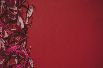 Rose Petals on the Other Side