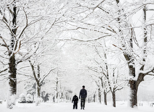 Boy and his dad walk together down a tree-lined street after a big snow