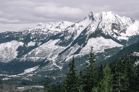 Mountains with snow and trees in Whistler backcountry