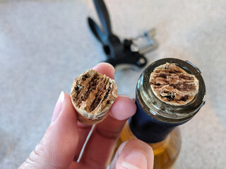 Broken Wine Cork in Half in Lady's Hand and Stuck in the Wine Bottle with a Black Bottle Opener on the Counter in the Background - Typical 2020