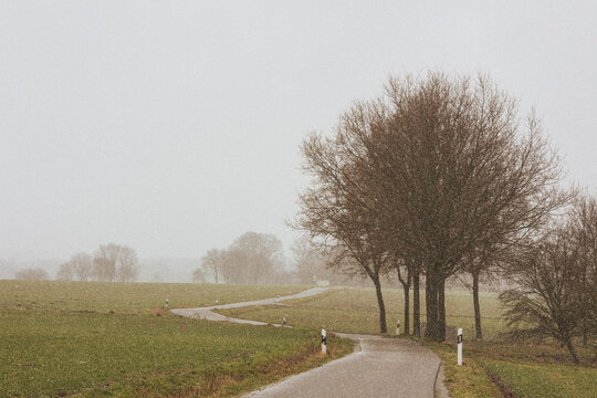 First snow coming down on winding road