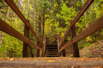 A wooden path that turns into a staircase leads through the autumn forest. Yellow leaves lie on the boards.